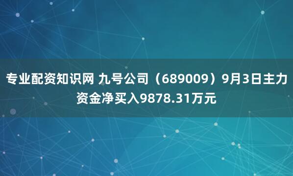 专业配资知识网 九号公司（689009）9月3日主力资金净买入9878.31万元