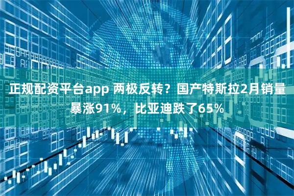 正规配资平台app 两极反转？国产特斯拉2月销量暴涨91%，比亚迪跌了65%